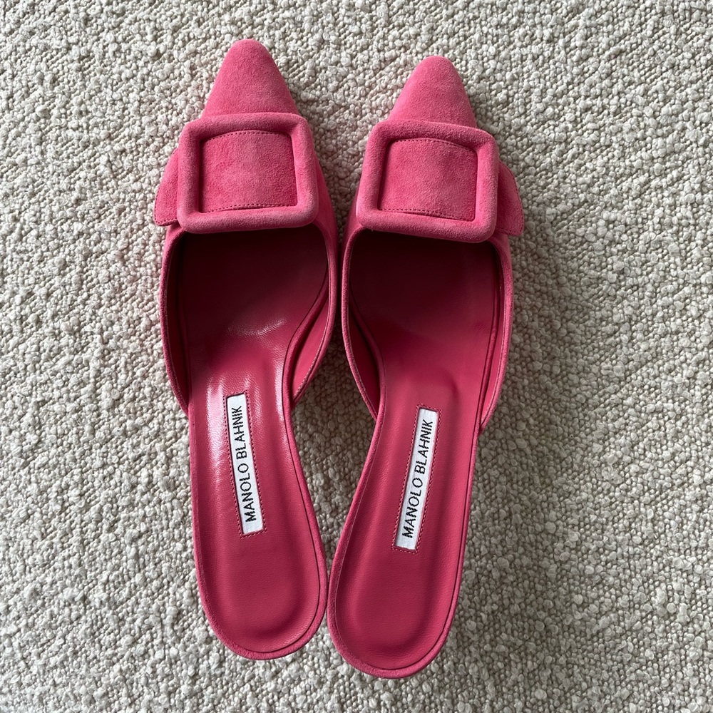Manolo Blahnik Maysale 50mm Suede Mules *brand new in box*